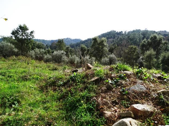 Image No.4-Terrain à vendre à Pedrógão Grande