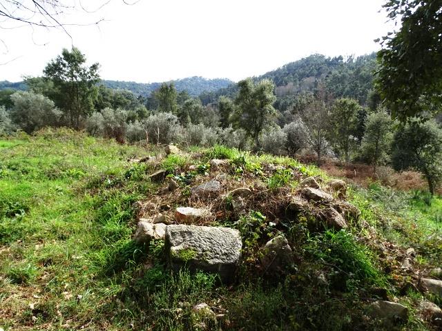 Image No.5-Terrain à vendre à Pedrógão Grande