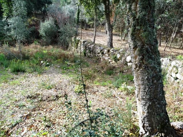 Image No.6-Terrain à vendre à Pedrógão Grande