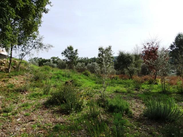 Image No.10-Terrain à vendre à Pedrógão Grande