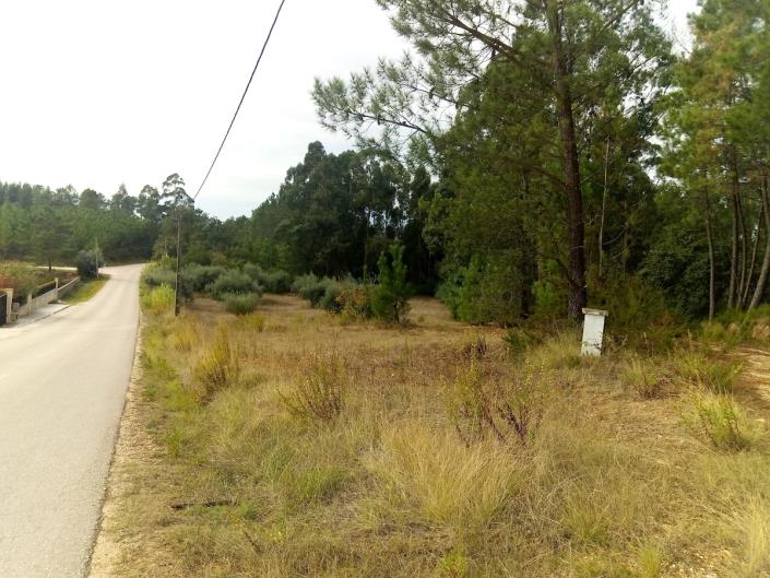 Image No.2-Terrain à vendre à Pombal