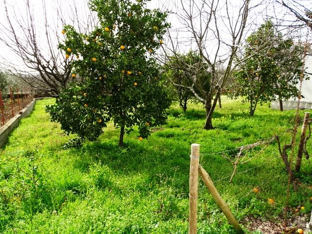 Image No.22-Villa / Détaché de 4 chambres à vendre à Pedrógão Grande
