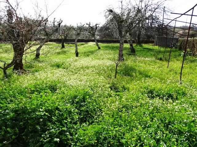 Image No.24-Villa / Détaché de 4 chambres à vendre à Pedrógão Grande