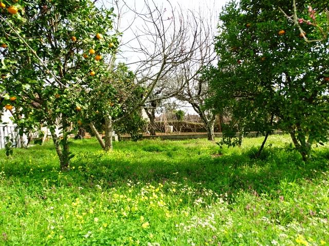 Image No.25-Villa / Détaché de 4 chambres à vendre à Pedrógão Grande