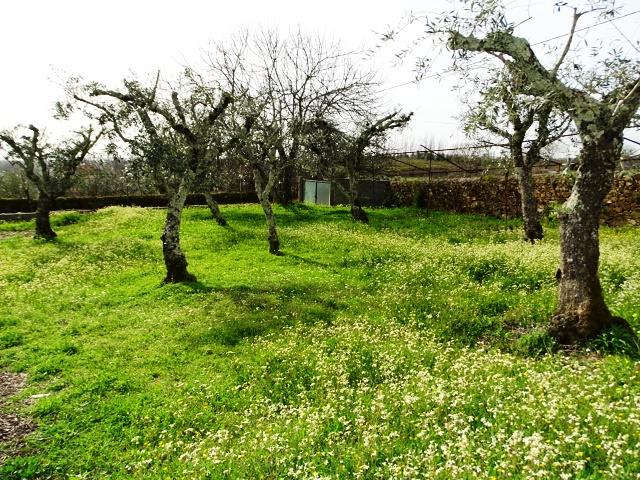 Image No.26-Villa / Détaché de 4 chambres à vendre à Pedrógão Grande