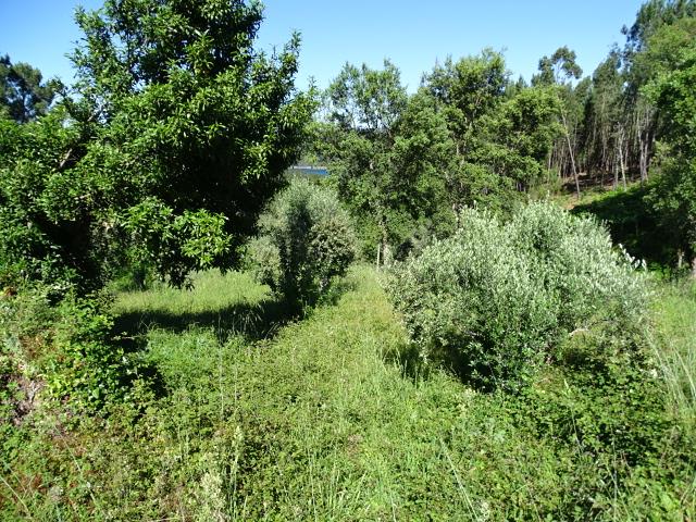 Image No.10-Chalet de 2 chambres à vendre à Pedrógão Grande