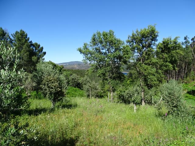 Image No.11-Chalet de 2 chambres à vendre à Pedrógão Grande