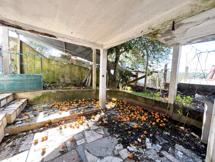 Image No.29-Maison de village de 3 chambres à vendre à Pampilhosa da Serra