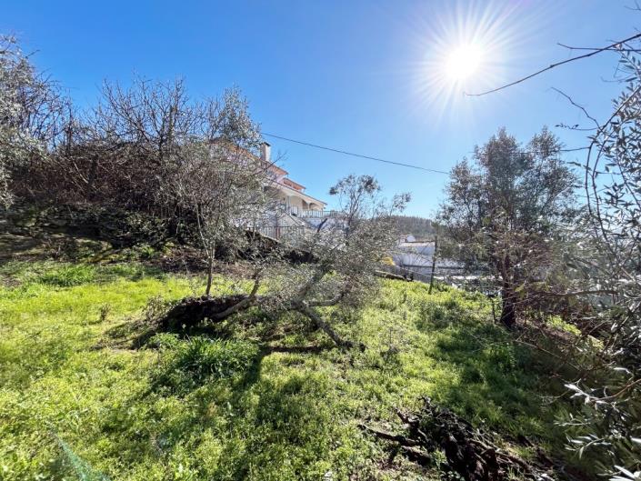 Image No.36-Maison de village de 3 chambres à vendre à Pampilhosa da Serra