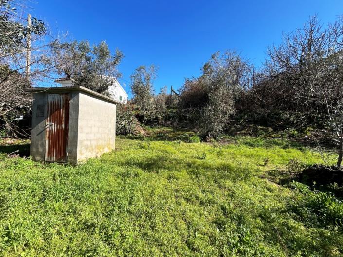 Image No.37-Maison de village de 3 chambres à vendre à Pampilhosa da Serra