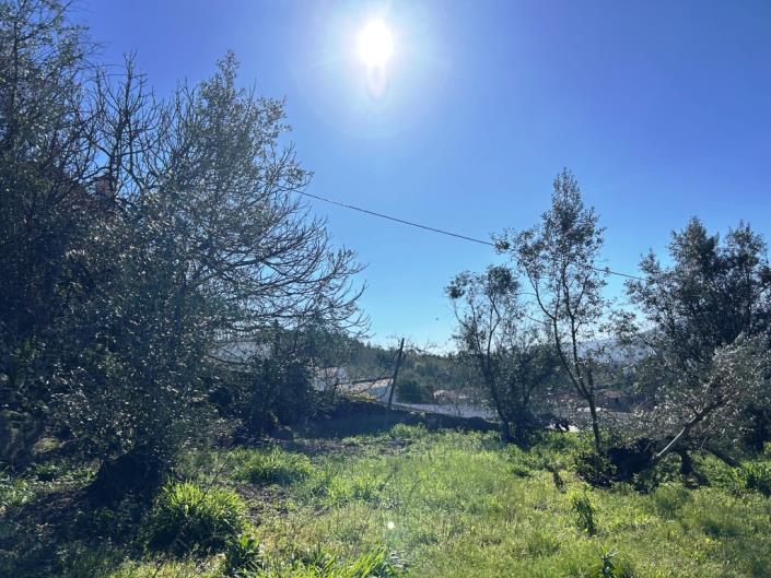 Image No.39-Maison de village de 3 chambres à vendre à Pampilhosa da Serra