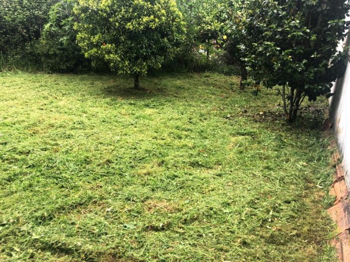 Image No.13-Maison de 2 chambres à vendre à Pedrógão Grande