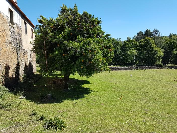 Image No.6-Propriété de pays à vendre à Castanheira de Pêra