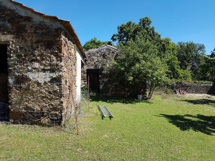 Image No.19-Propriété de pays à vendre à Castanheira de Pêra