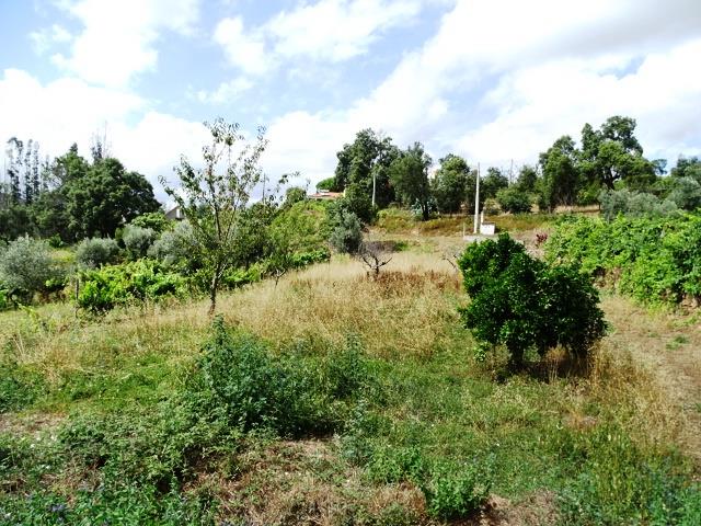 Image No.24-4 Bed House/Villa for sale