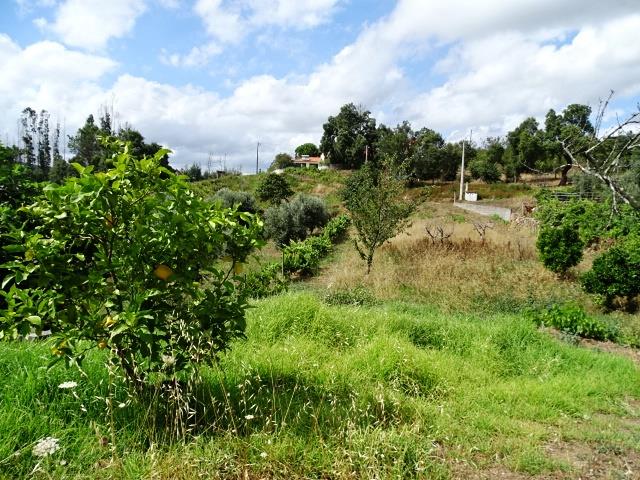 Image No.25-4 Bed House/Villa for sale