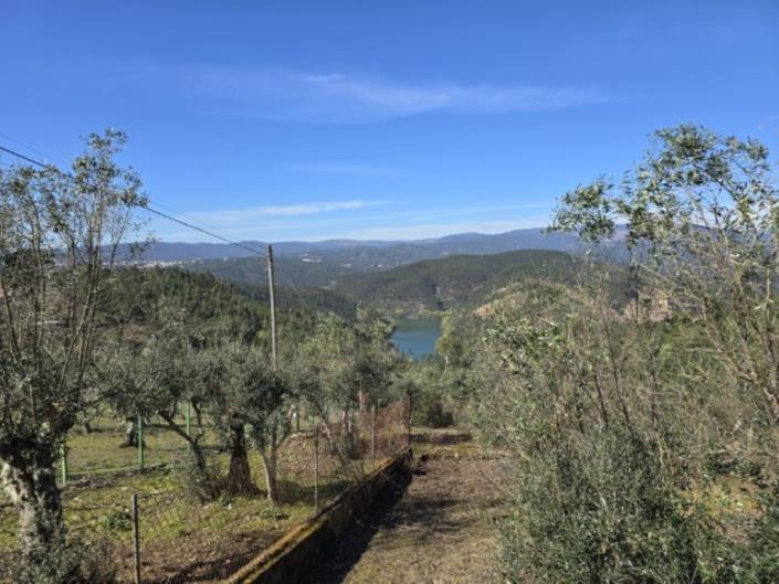 Image No.16-3 Bed House for sale