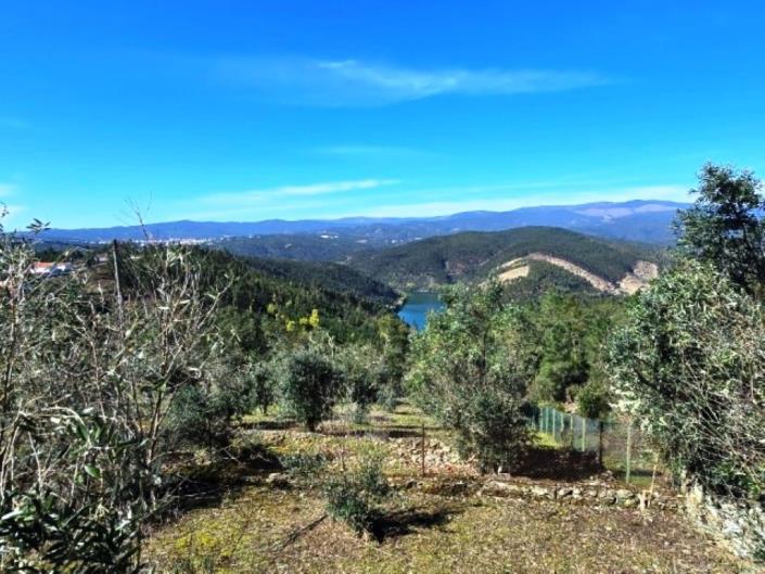 Image No.19-3 Bed House for sale