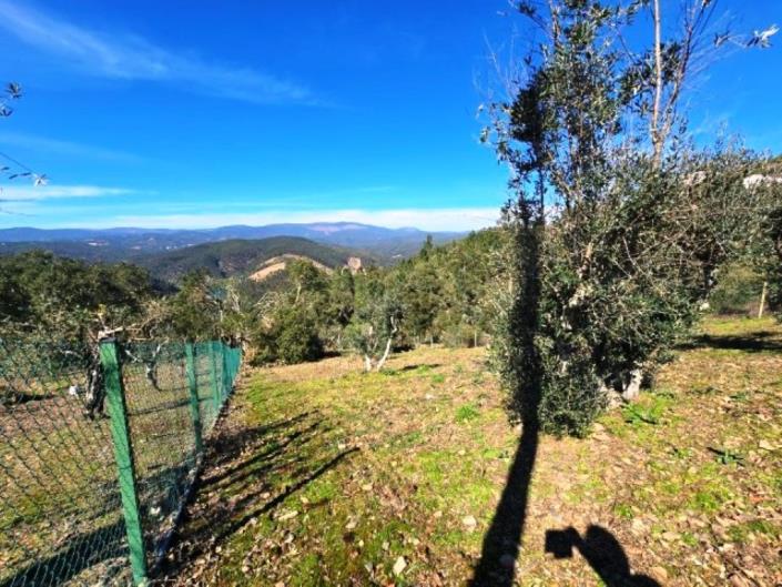 Image No.53-3 Bed House for sale