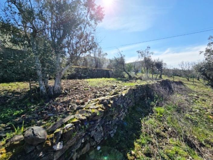 Image No.54-3 Bed House for sale