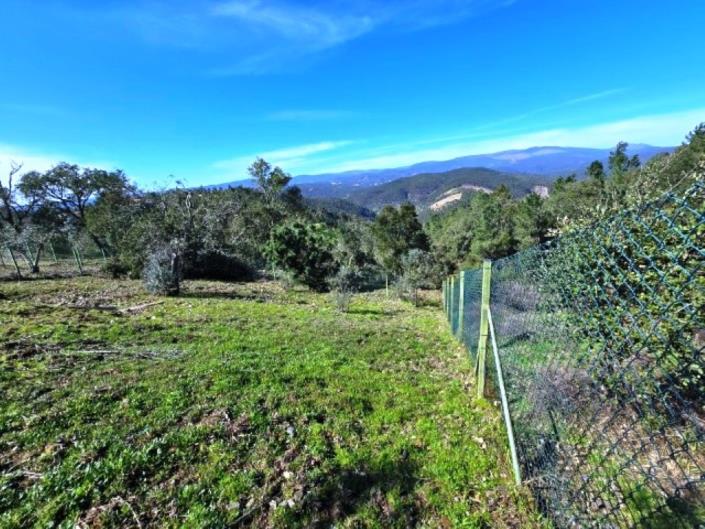 Image No.55-3 Bed House for sale