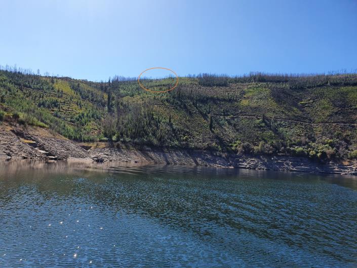 Image No.4-Maison / Villa de 2 chambres à vendre à Oleiros