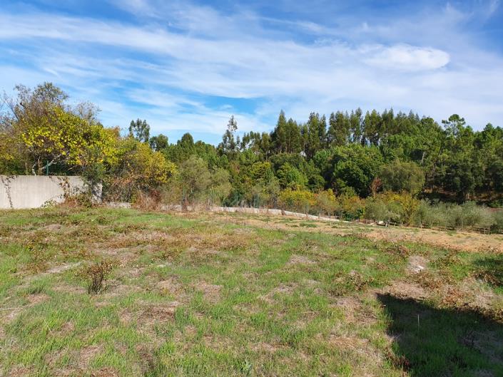 Image No.5-3 Bed House for sale