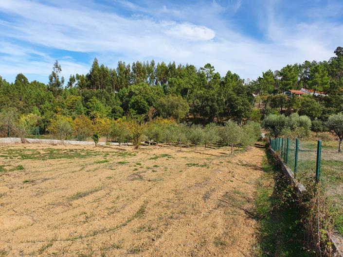 Image No.6-3 Bed House for sale