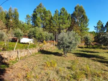 Terre de 1 chambre à vendre à Pedrógão Grande