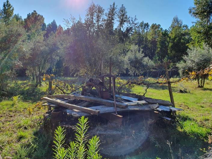 Image No.15-Terre de 1 chambre à vendre à Pedrógão Grande