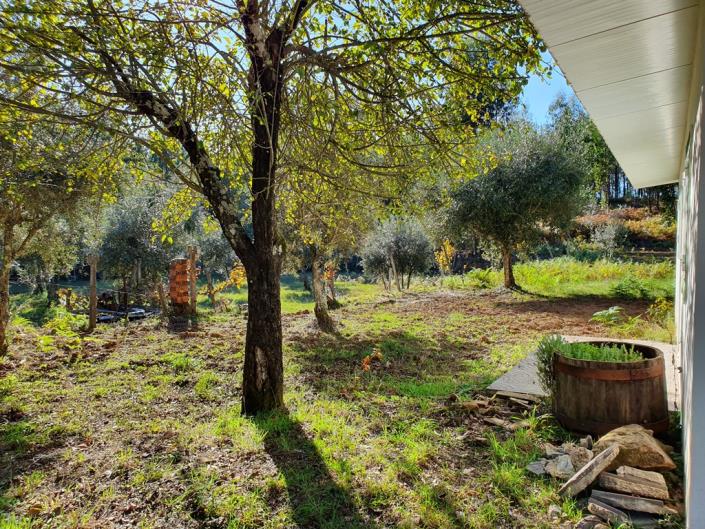 Image No.10-Terre de 1 chambre à vendre à Pedrógão Grande