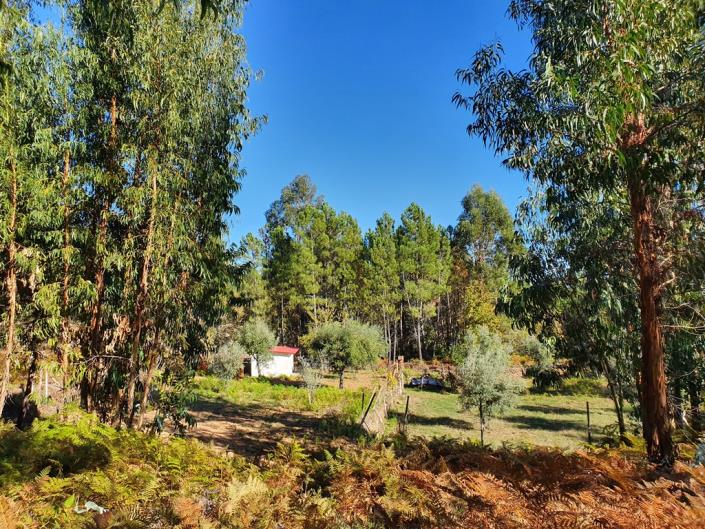 Image No.26-Terre de 1 chambre à vendre à Pedrógão Grande