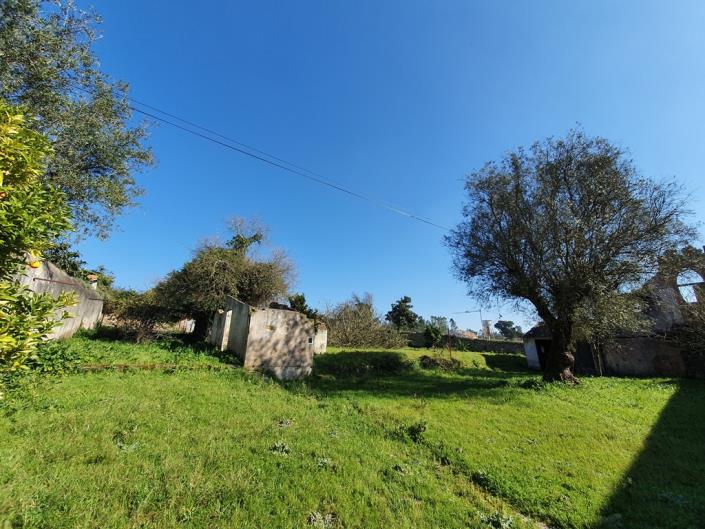 Image No.24-12 Bed Mansion for sale