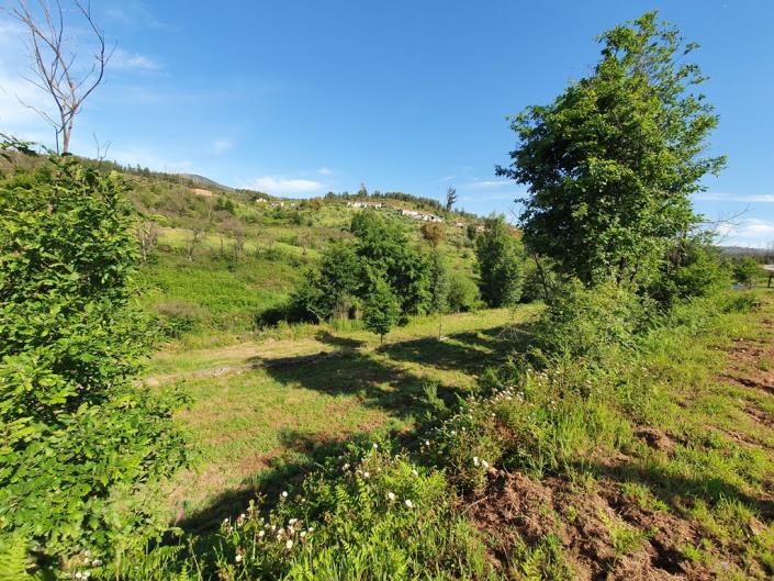 Image No.14-2 Bed Country Property for sale