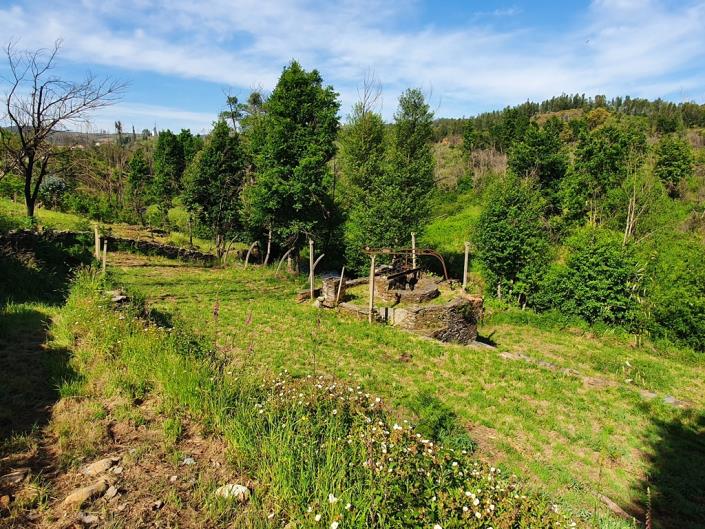 Image No.16-2 Bed Country Property for sale