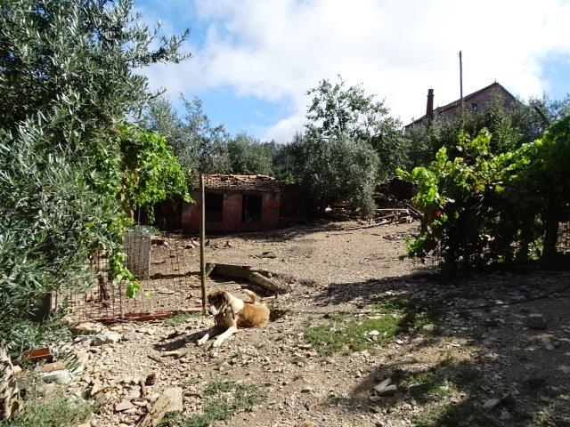 Image No.4-3 Bed Cottage for sale