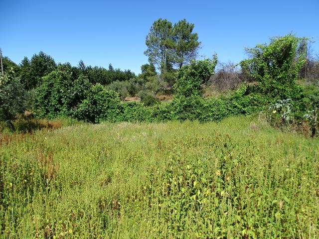 Image No.14-3 Bed Cottage for sale