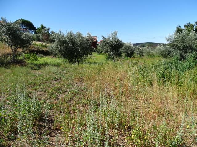 Image No.15-3 Bed Cottage for sale