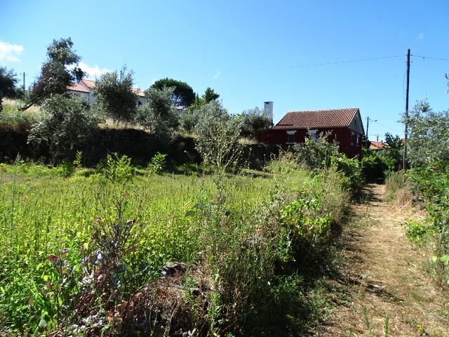 Image No.17-3 Bed Cottage for sale