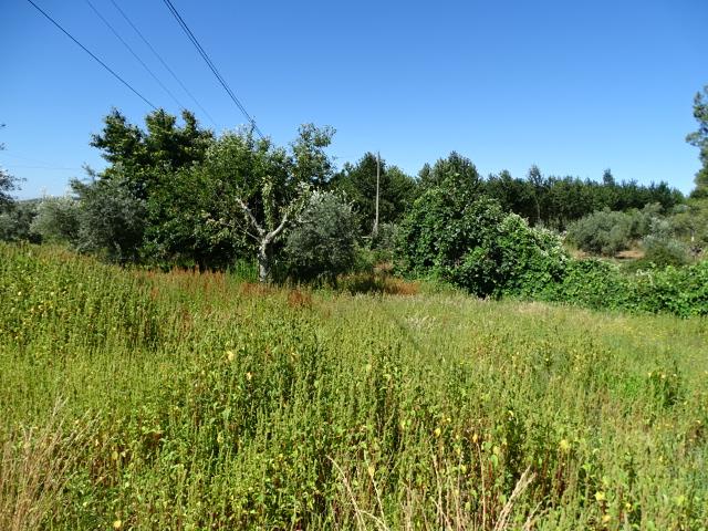 Image No.16-3 Bed Cottage for sale