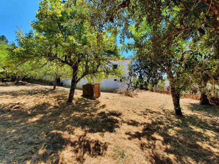 Image No.24-Ferme de 4 chambres à vendre à Álvares