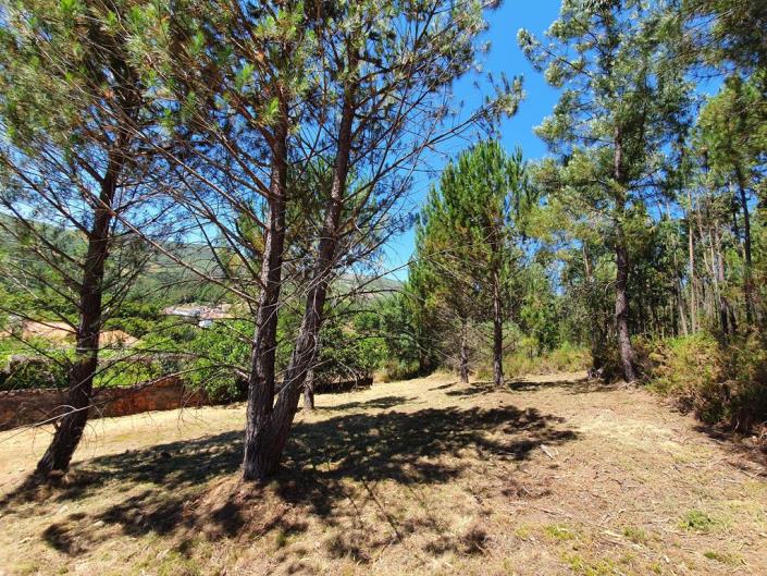 Image No.29-Ferme de 4 chambres à vendre à Álvares