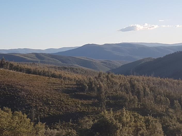 Image No.6-3 Bed Country Property for sale