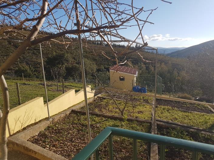 Image No.18-3 Bed Country Property for sale