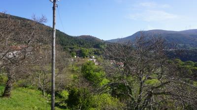 DSC01854