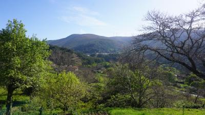 DSC01858