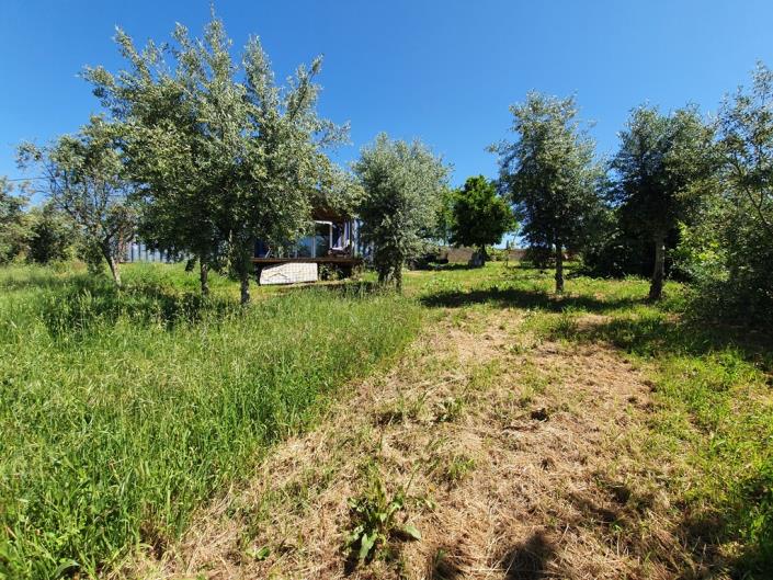 Image No.16-Terre de 1 chambre à vendre à Pedrógão Grande