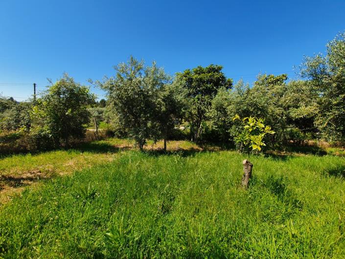 Image No.15-Terre de 1 chambre à vendre à Pedrógão Grande