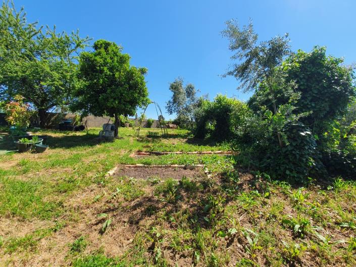 Image No.17-Terre de 1 chambre à vendre à Pedrógão Grande