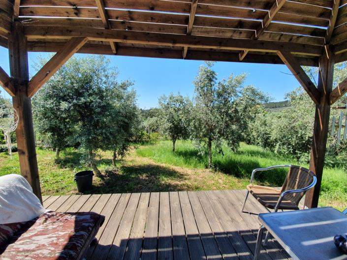 Image No.7-Terre de 1 chambre à vendre à Pedrógão Grande